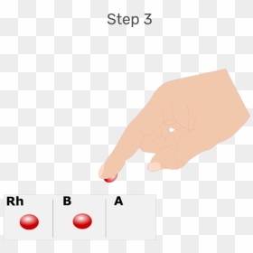 Animation Of Large Drops Of Blood Being Placed In Each - Illustration, HD Png Download - blood drops png