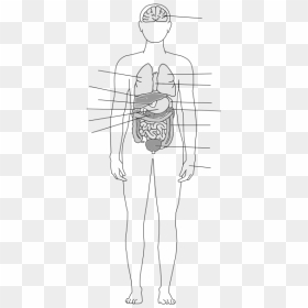 Posing Body Builder Png Icons - Sketch, Transparent Png - thug life joint png