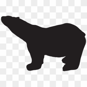 Polar Bear Iceberg - Black And White Bear Cubs Clipart, HD Png Download - iceberg png