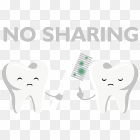 Looking After Your Teeth Guernsey Dental Association - Never Share Toothbrush, HD Png Download - share png