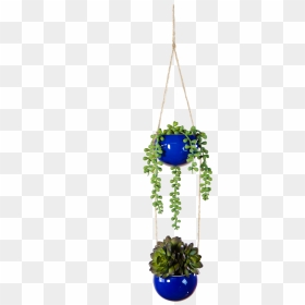 Houseplant, HD Png Download - hanging plant png