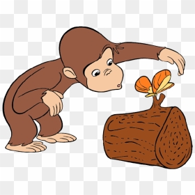 Curious George Clip Art - Curious George Being Curious, HD Png Download - curious george png