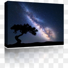 Milky Way Tree - Strongest Ones Bleed In Silence, HD Png Download - milky way png