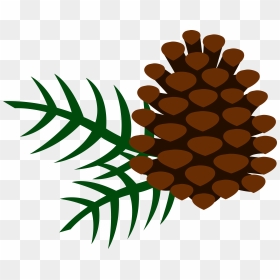 Pine Cone Clipart Png Transparent Png , Png Download - Clip Art Pine Cone, Png Download - pine cone png