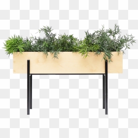 Naturalboxplanter, HD Png Download - hanging plant png