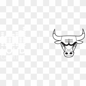 Loud And Bulls Logos - Chicago Bulls Loud Venture, HD Png Download - chicago bulls logo png