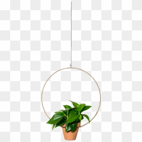 Img - Houseplant, HD Png Download - hanging plant png
