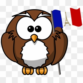 Owl With French Flag Clip Arts - Cartoon Owl, HD Png Download - french flag png