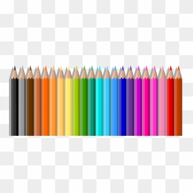 Crayon Colored Pencil - Colored Pencils Transparent Background, HD Png Download - crayon png