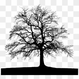 High Detail Tree With Ground Silhouette - Tree With Ground Png, Transparent Png - ground png