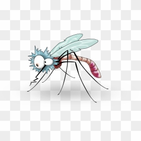 Funny Mosquito From Side Clip Arts - Transparent Background Mosquito Clipart, HD Png Download - mosquito png