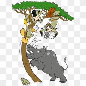Rhinoceros Clipart - Cliparts - Co - Disney Animal Kingdom Clipart, HD Png Download - goofy png