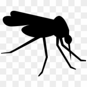 Mosquito Computer Icons Clip Art - Transparent Background Mosquito Icon, HD Png Download - mosquito png