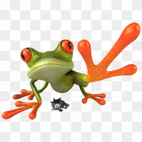 Frog Transparent Png Pictures - Free Frog Png, Png Download - pepe frog png