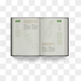 Document, HD Png Download - distressed texture png