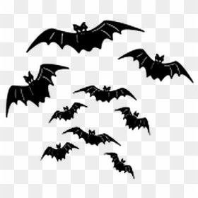 #ftestickers #bats #halloween #bat #silhouette #animal - Bat, HD Png Download - bat silhouette png