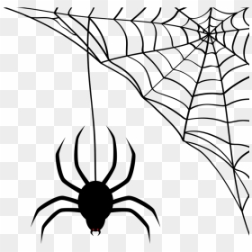 Spider Web Cobweb - Transparent Background Spider Web Clipart, HD Png Download - cobweb png