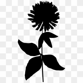 Silhouette Outline Of Flower, HD Png Download - flower silhouette png