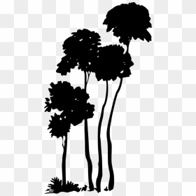 Plant,flower,silhouette - Cinderella Arthur Rackham, HD Png Download - flower silhouette png