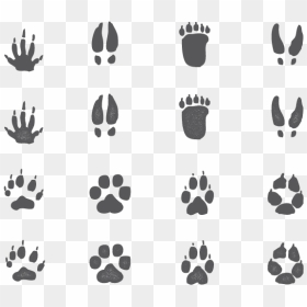 Animal Footprints Png - Vector Animal Footprints Png, Transparent Png - footprints png