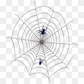 Spider,cobweb Png Download - Telaraña Con Su Presa, Transparent Png - cobweb png