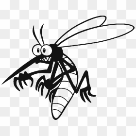 Thumb Image - Mosquito Cartoon Png, Transparent Png - mosquito png