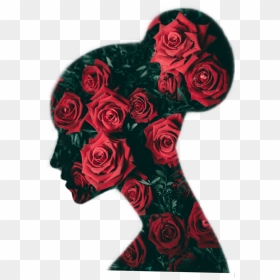 #portrait #roses #woman #flower #silhouette  @ronaldbirdhenley - Garden Roses, HD Png Download - flower silhouette png