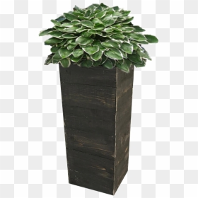 Planter Png Page - Transparent Background Planter Box Transparent, Png Download - planter png