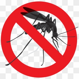 No Mosquito Png - London Victoria Station, Transparent Png - mosquito png