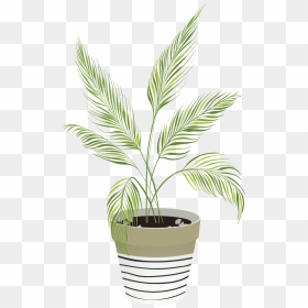 Vector Indoor Plants - Plant Illustration Png Vector, Transparent Png - house plant png