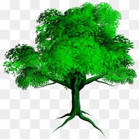 New Tree Png - Hd Background For Photoshop, Transparent Png - hd png