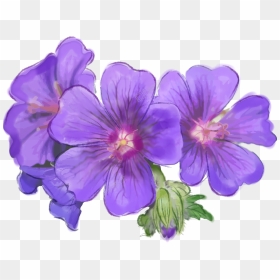 Purple Flowers Download - Purple Flowers Painted Png, Transparent Png - flower vine png