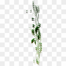 Health4 - Illustration, HD Png Download - health bar png