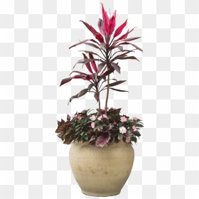 Indoor Plant Potted Plants Png Download - Transparent Background Potted Plant Png, Png Download - house plant png