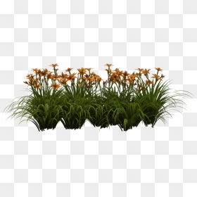 Wooden Half Barrel Garden Planter, Medium , Png Download - Flower Png For Editing, Transparent Png - planter png