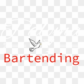 Paloma Bartending Started In Corona, Ca In, HD Png Download - paloma png