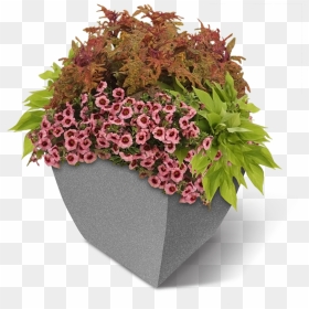 Square Commercial Planter W-flowers, HD Png Download - planter png