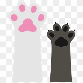 Cat Paw Transparent, HD Png Download - cat paw png