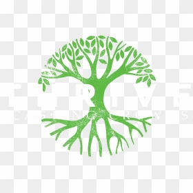 Casting Crowns - Casting Crowns Tree, HD Png Download - crowns png