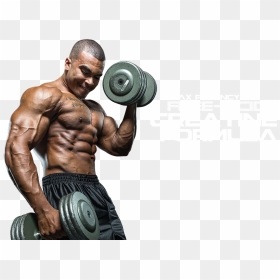 Weight Lifting Png Hd - Bodybuilding Gym Food Chart, Transparent Png - weights png