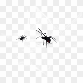 #cobweb #spider - Black Widow, HD Png Download - cobweb png