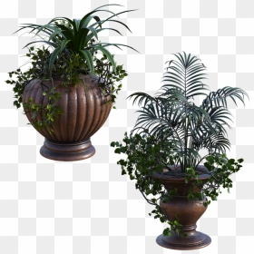 Houseplant, HD Png Download - planter png