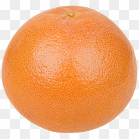 Grapefruit Png Image - Png Grapefruit, Transparent Png - grapefruit png