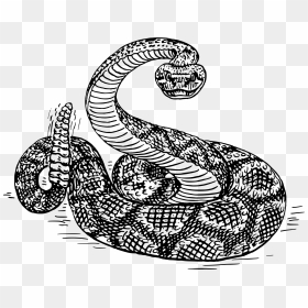 Rattlesnake 2 Clip Arts - Rattle Snake Clip Art, HD Png Download - rattlesnake png