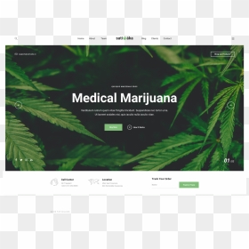 350409398 - Dispensary Websites, HD Png Download - weed plant png