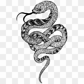 Transparent Rattlesnake Png - Black Snake Vector Png, Png Download - rattlesnake png