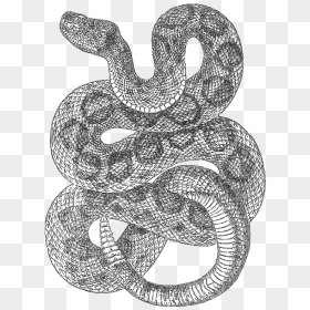 Rattlesnake Drawing T - Transparent Snake Tattoo Png, Png Download - rattlesnake png