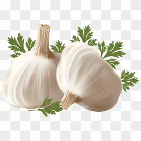 Garlic Png, Transparent Png - garlic png