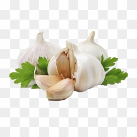 Garlic Transparent File - Transparent Background Garlic Png, Png Download - garlic png