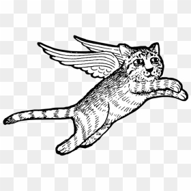 Sketch, HD Png Download - flying cat png